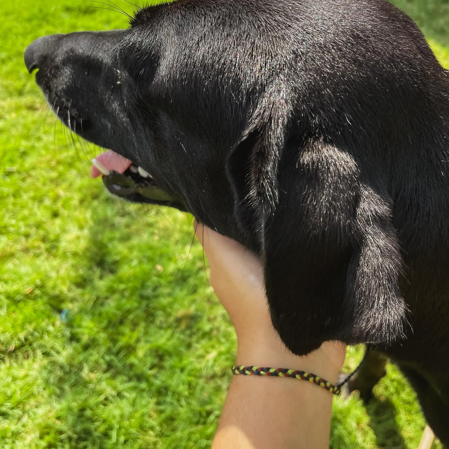 Warm Twiligth Braided Bracelet